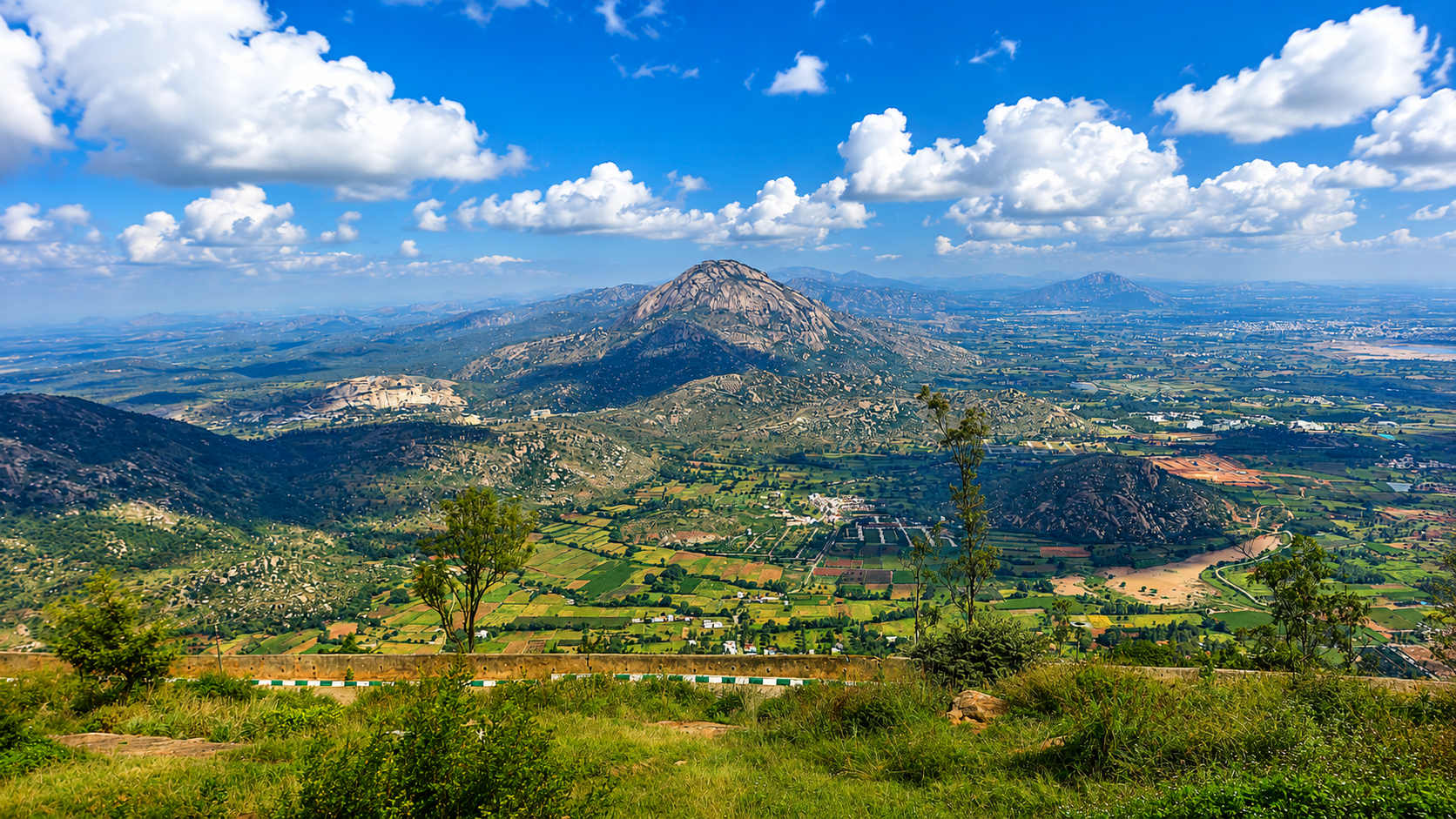 Pinnacle Farms Nandi Hills view